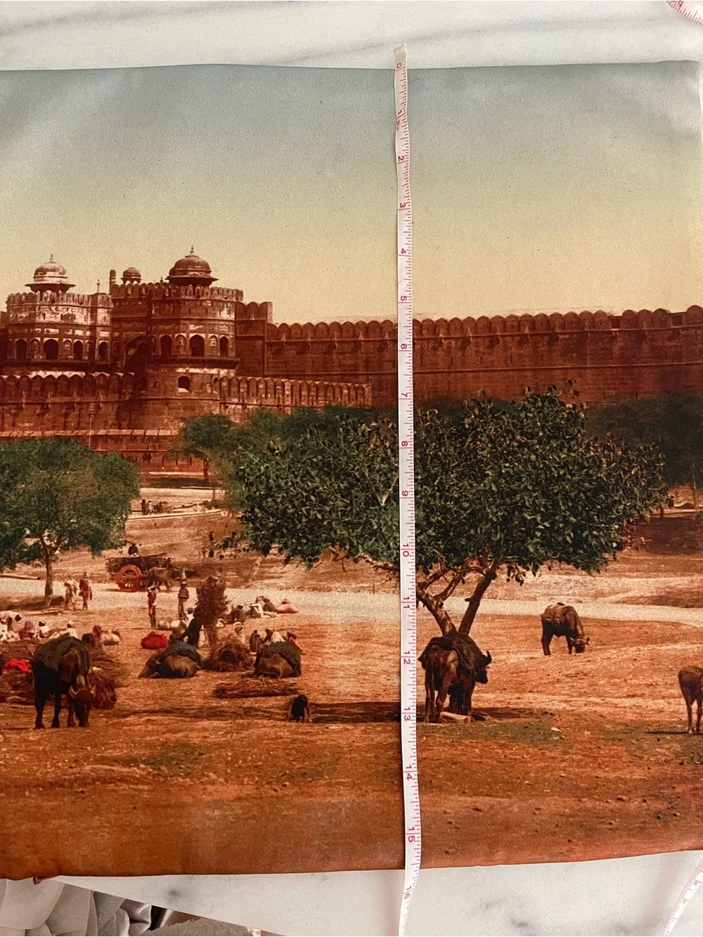 Scenic Printed Pillow Cover w Historic red fort Agra India Agra fort pillow case